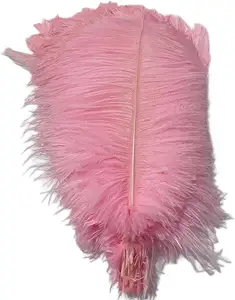 Centrotavola di piume di struzzo rosa chiaro per la tavola di nozze accessori di carnevale di piume naturali di grandi dimensioni Pluma per la decorazione del vaso