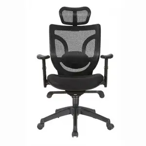 Cheap Back Mesh Chinese Manufacturer Ergonomic 150kg Executive Unique Office Chair Free Shipping