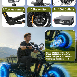 Triciclo para Adultos con Llantas Gruesas de 20 Pulgadas, Triciclo Todoterreno para Personas Mayores, Marco de Aleación de Aluminio, Frenos de Disco, Estabilidad en la Nieve e Invierno para Personas Mayores - Product Image 5