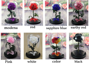Di alta qualità rosa eterna fiore conservato rosa in vaso di vetro della cupola di copertura con regalo - Product Image 5