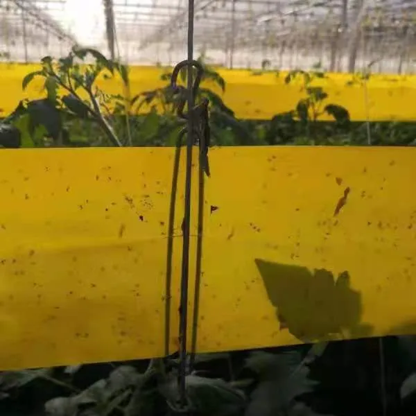 Garden Supplies Farm Hanging Sticky Glue Roll For Aphids Flies Bug Livestock Catchers Bug Pest Control