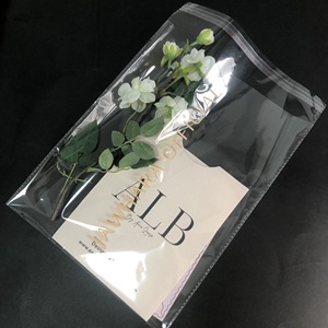 Hot Sale Custom Logo OPP Bag Women Shopping Plastic Bag Clothes Storage Bag Tshirt Packaging Poly Bag with Logo - Product Image 1