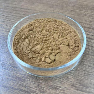 식품 학년 10:1 버섯 동요하근 밀리타리스 분말 전체 식물 굴 버섯 추출물 - Product Image 2