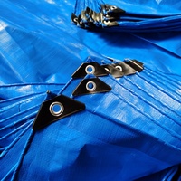 Bâche en plastique bleue imperméable en polyéthylène pour couverture extérieure, vente en gros d'usine à prix abordable