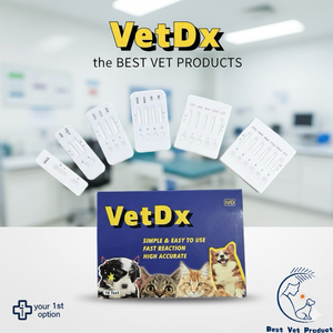 VetDx Test Diagnostici Veterinari a Prezzo Conveniente, Test Antigenico CPV Parvo+Distemper - Product Image 3