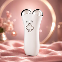 Masseur électrique V-Face OEM, appareil de beauté portable pour le lifting du visage et du cou, utilisation à domicile, outil de soin de la peau, outil amincissant pour le visage, pour tous les types de peau
