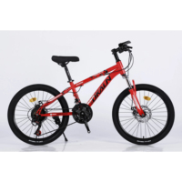 Livraison directe rapide amérique du sud VTT japon importateur de vélos d'occasion vtt électrique 3000w pour adulte
