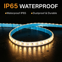 Bande LED PVC 220V 2835 120 LED/m 9W/m 4000K IP65 Certifiée CE Ra70 Garantie 2 ans Rouleau de 100m pour Utilisation Extérieure Paysagère