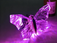 Bouteille de champagne LED papillon en acrylique transparent rechargeable, glorificateur de bouteille VIP pour boîte de nuit
