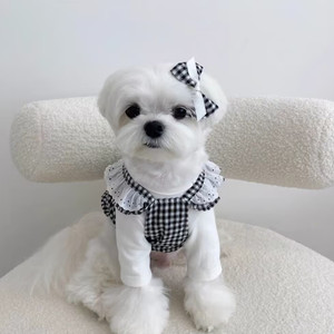 Gonna estiva per animali domestici vestiti per gatti per cani leggeri morbidi e confortevoli gonne per cuccioli abito per animali domestici - Product Image 2