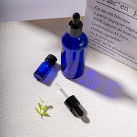 10ml 20ml 30ml 50ml 100ml brillant givré cosmétiques huile essentielle sérum bleu clair flacons compte-gouttes en verre
