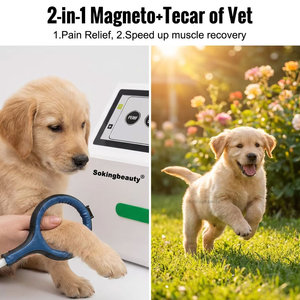 Appareil professionnel vétérinaire portable 2-en-1 Tecar PEMF pour la rééducation équine <span class=keywords><strong>et</strong></span> <span class=keywords><strong>canine</strong></span>, soulagement des douleurs articulaires <span class=keywords><strong>et</strong></span> thérapie profonde pour animaux - Product Image 1