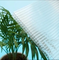 Serres en polycarbonate de 10x12 pieds maison de jardin de plain-pied serre à cadre en aluminium maison chaude