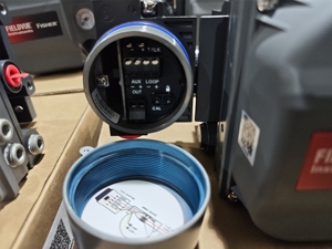 Válvula de Control de Globo de Acero Inoxidable, Controlador de Válvula Emerson Fisher Personalizado, Posicionador DVC6200, Baja Temperatura, Certificación EAC - Product Image 4