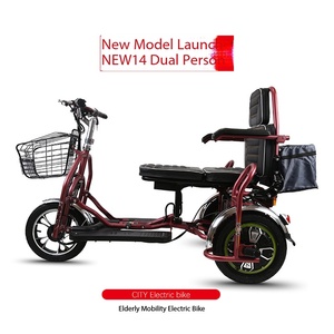 Triciclo Eléctrico de Largo Alcance para Adultos con Batería de Litio, 70 KM de Autonomía Máxima, Carga de 100 KG, 3 Velocidades, E-Trike para Desplazamientos y Entrega de Carga Ligera - Product Image 2