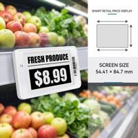 Label Rak Elektronik ESL Grosir 3.52 3.5 2.13 2.66 4.2 Inch, Label Harga Digital Epaper untuk Supermarket