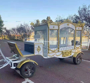 عربة جنازة مليبورن بلاتينية عربة جنازة أستراليا الجديدة عربة جنازة مرسومة بالحصان - Product Image 5