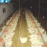 Nouvel Équipement Professionnel pour Élevage Commercial de Poulets de Chair : Cages en Acier pour Poulets