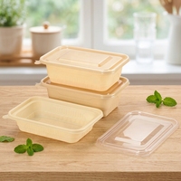 Boîte à lunch rectangulaire jetable de 500 ml/750 ml/1000 ml avec couvercle transparent, contenants à emporter en amidon de maïs PP pour salades et fruits