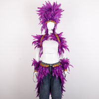 Conjunto de Disfraz de Plumas de Samba para Carnaval Brasileño, para Hombres y Mujeres - Ropa para Fiestas de Baile y Celebraciones