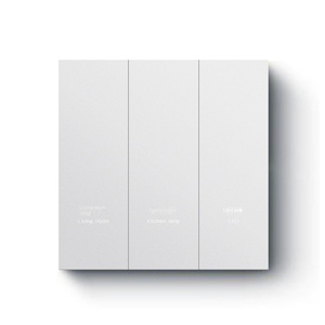 Interruptor de Pared Táctil Wi-Fi Inteligente Tuya de 2 Botones, Estilo Minimalista, Plástico, 10A, 230V, IP20, con Control por Voz - Product Image 5