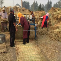 Estera de paja de caña eléctrica, máquina de tejer, estera de caña de bambú, precio barato
