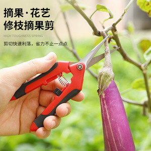 Sécateur manuel Pinheng en acier inoxydable 10-20 mm pour la taille des arbres fruitiers et légumes - Product Image 2