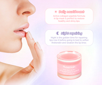 Kit de soin des lèvres double effet OEM, végan, bio, éclaircissant, exfoliant, gommage et baume pour les lèvres, baume pour les lèvres rose hydratant personnalisé