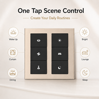 Panneau de commande intelligent pour maison connectée Matter, écran tactile IPS 4 pouces, Zigbee, commande vocale Alexa, interrupteur KNX, pour appartement, hôtel