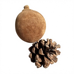 Poudre de pulpe de fruit de Baobab de qualité supérieure, poudre de Baobab naturelle de qualité alimentaire pour boisson santé, matière première - Product Image 1