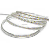 Bande lumineuse led sans fil 220V SMD 2835 120led 180led par mètre Bande flexible étanche extérieure