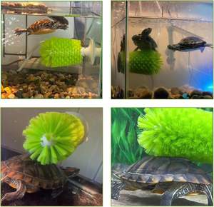 Cepillo exfoliante <span class=keywords><strong>de</strong></span> tortuga exfoliante con ventosa Shell Clean tortugas cepillo para rasguños en la espalda para eliminar tortuga Shell Scutes <span class=keywords><strong>barro</strong></span> suciedad - Product Image 6