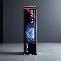 قرص NV3500 1 تيرابايت M.2 2280 PCIe 3.0 NVMe 1.4 SSD بسرعة تصل إلى 3500 ميجابايت/ثانية، تقنية 3D TLC NAND، تبديد حرارة بالجرافين لأجهزة الكمبيوتر المكتبية والمحمولة