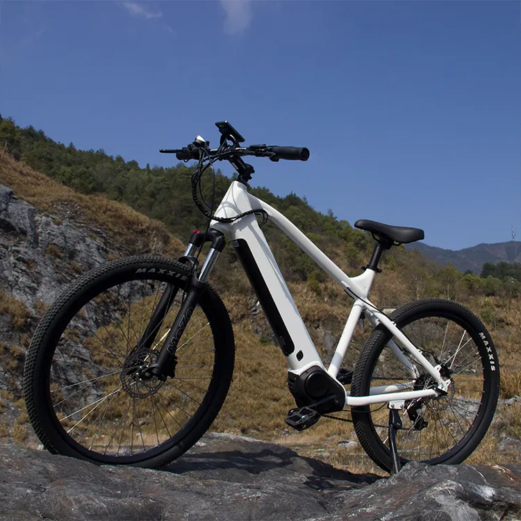 Vélo électrique 500W, bicyclette pour route en ville, prix coûtif