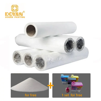 Feuilles de film de transfert PET Doyan pour sérigraphie, imperméables, souples, transparentes, format A3/A4