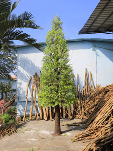 Usine <span class=keywords><strong>Sapin</strong></span> Artificiel En Fibre De Verre Metasequoia Arbre Intérieur Extérieur Grand Projet De Jardin Paysage Décoration Faux Arbre <span class=keywords><strong>Vert</strong></span> - Product Image 3