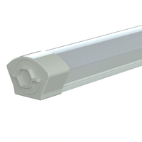 Éclairage industriel LED étanche IP66 de 2 pieds 20W pour garage, supermarché, chemin de fer, certifié RCM CE SAA Rohs, à intensité variable, angle de faisceau de 120°