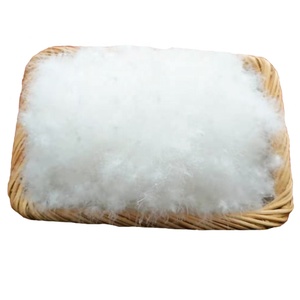 Worthbuy — puissance de remplissage en <span class=keywords><strong>duvet</strong></span> <span class=keywords><strong>d</strong></span>'<span class=keywords><strong>oie</strong></span> blanc, 800 de l'usine chinoise - Product Image 1