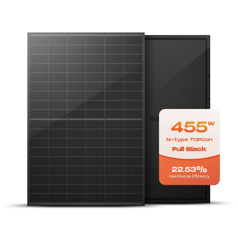 모든 블랙 프레임 단결정 태양 전지 패널 430W 440W 450W 455W 460W 이안면 탑콘 PV 모듈
