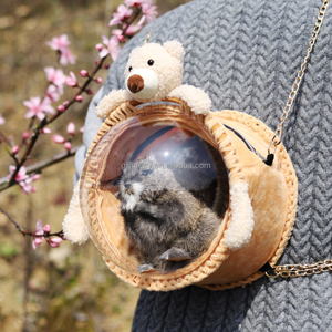 Zaino Traspirante per Piccoli Animali Domestici, Borsa Trasparente per Trasporto Pappagalli, Conigli e Criceti - Product Image 4