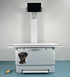 Kỹ thuật số Bác Sĩ Thú Y DR <span class=keywords><strong>X</strong></span>-Ray bảng cố định thú y Dog <span class=keywords><strong>x</strong></span> Ray Máy bác sĩ thú y <span class=keywords><strong>x</strong></span> Ray giá máy - Product Image 6