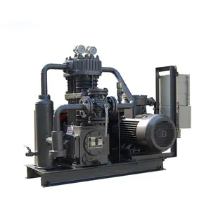Multi Function High Pressure Inlet Discharge Pressure 70Bar Flow Capacity Digital Hydrogen Piston Compressors