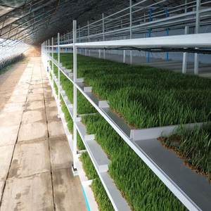 <span class=keywords><strong>Bac</strong></span> <span class=keywords><strong>de</strong></span> <span class=keywords><strong>pâturage</strong></span> en PVC Starfarm 50cm * 4cm, blanc, durable, <span class=keywords><strong>bac</strong></span> <span class=keywords><strong>de</strong></span> plantation hydroponique pour bétail, <span class=keywords><strong>pâturage</strong></span> artificiel - Product Image 2