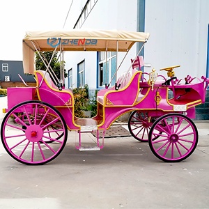 Transport spécial pour le tourisme et les visites touristiques, calèche - Product Image 6