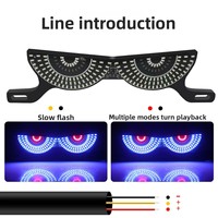 Lumière de plaque d'immatriculation de moto TCYATO, clignotante, œil de démon, trois/semi-circulaire, modification décorative, lumières LED pour moto