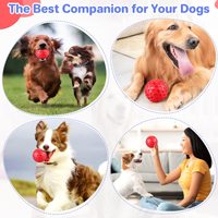 Tente tunnel interactive 4-en-1 pour chiens et chats – Maisonnette de jeu durable avec design pliable pour petits animaux