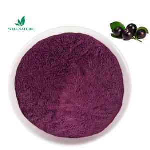 ราคาโรงงานคุณภาพสูงผงน้ํา Acai Berry บราซิลที่ละลายน้ําได้ผงผลไม้ Acai Berry