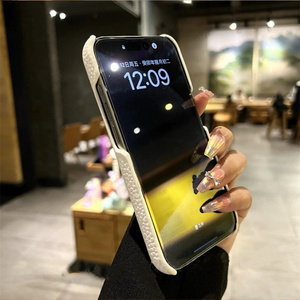 Custodie in pelle Lichee di lusso per <span class=keywords><strong>iPhone</strong></span> 16 <span class=keywords><strong>Pro</strong></span> <span class=keywords><strong>Max</strong></span> 15 14 <span class=keywords><strong>13</strong></span> 12 custodia in metallo argento anello per <span class=keywords><strong>fotocamera</strong></span> rigida <span class=keywords><strong>Cover</strong></span> posteriore per uomo donna - Product Image 4