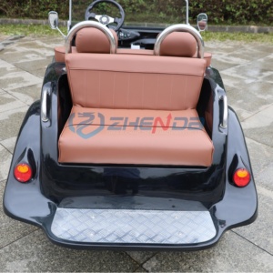 ZHENDA Voiture Classique Personnalisée Mini Noire pour Visites Extérieures, Nouvelle Énergie Électrique, Structure en Acier, Garantie 2 Ans, Luxe - Product Image 6