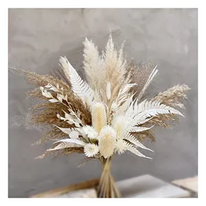 good price boho bouquet dried flowers pampas mini bouquets dried round leaves foliage pampas grass